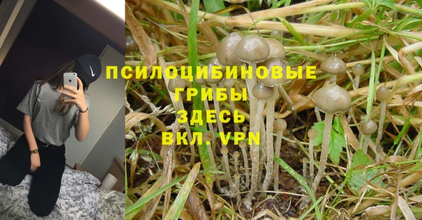 твердый Няндома