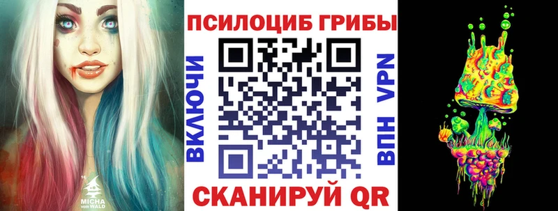 где продают Ильский Галлюциногенные грибы мухоморы